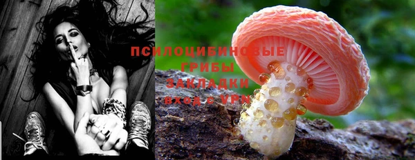 дживик Алексеевка