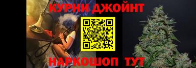 спайс Гай