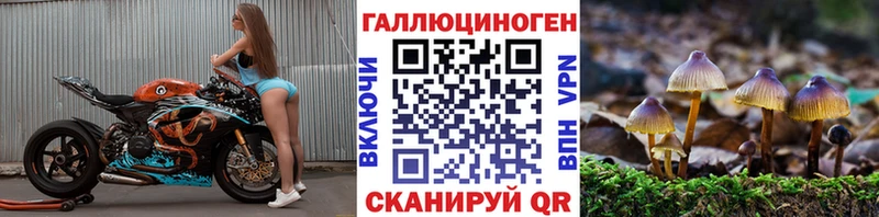 Псилоцибиновые грибы GOLDEN TEACHER  блэк спрут как зайти  Нижний Новгород  цены наркотик 