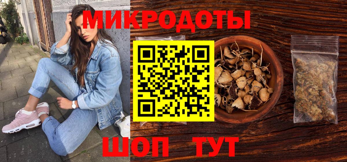 Галлюциногенные грибы Psilocybe Нижний Новгород