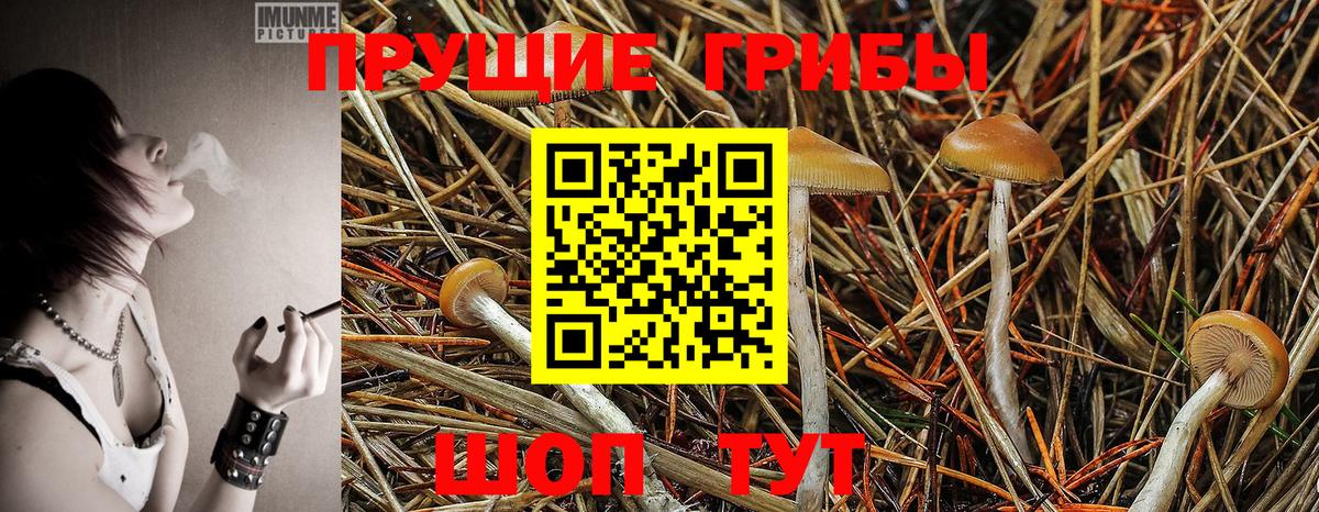 Галлюциногенные грибы мицелий  Вход с VPN  Нижний Новгород 